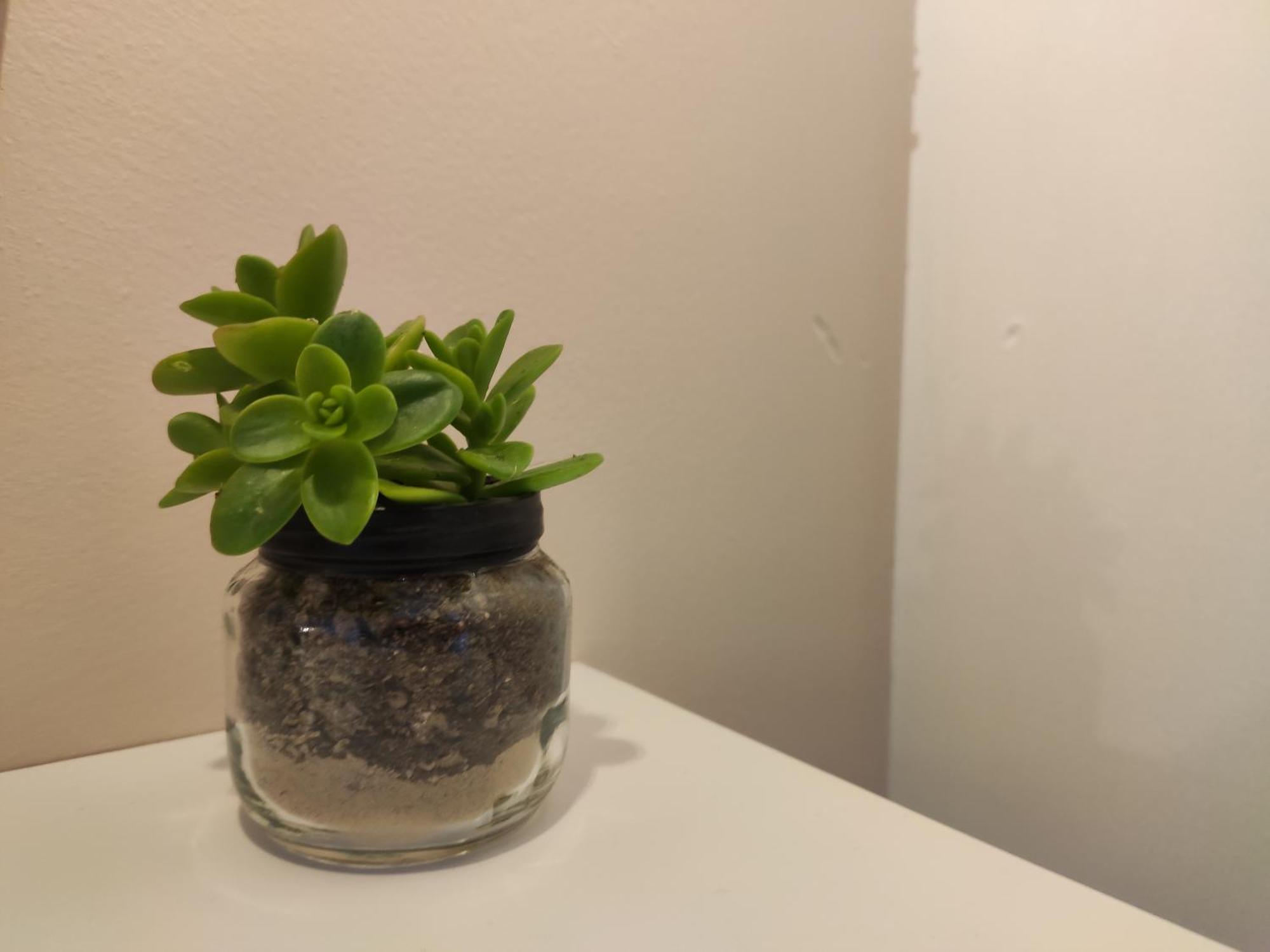 Apartment Dolcevita